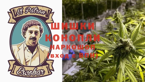 шишки Абаза