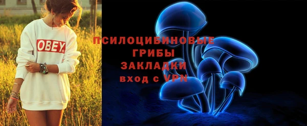 крисы Абдулино