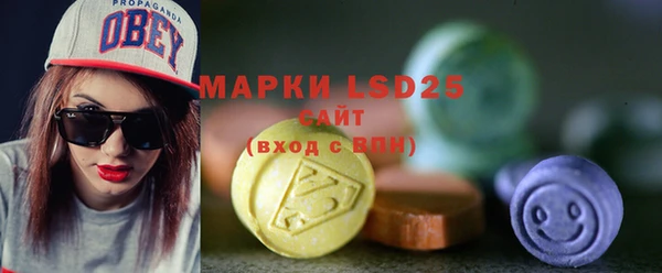 шишки Абаза