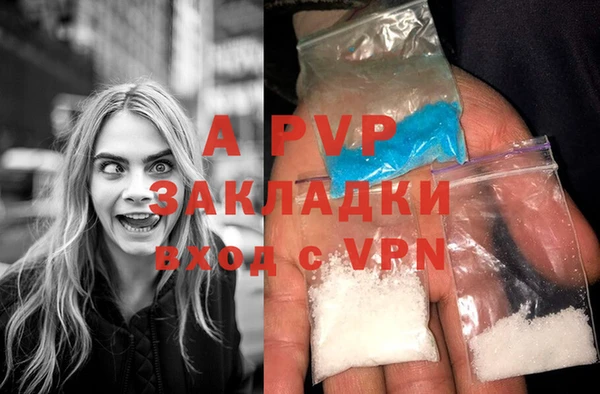 крисы Абдулино