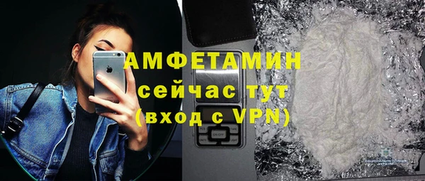 хмурый Алзамай