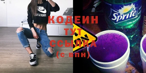 шишки Абаза