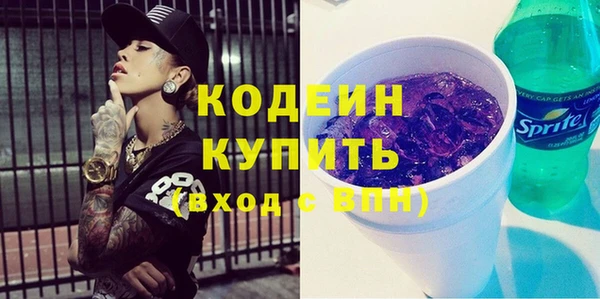 шишки Абаза