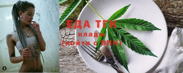 шишки Абаза