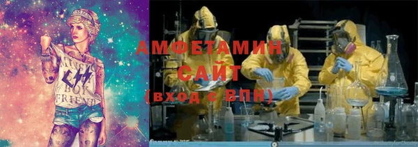 шишки Абаза