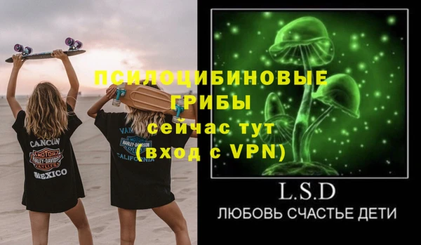 крисы Абдулино