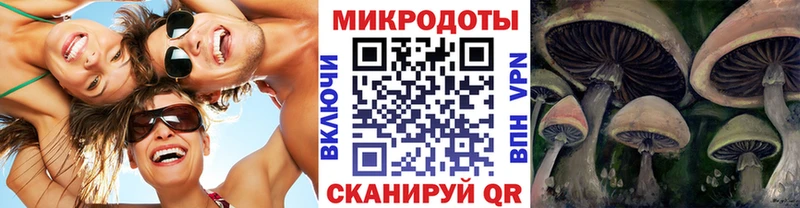 Псилоцибиновые грибы прущие грибы  Калининград 